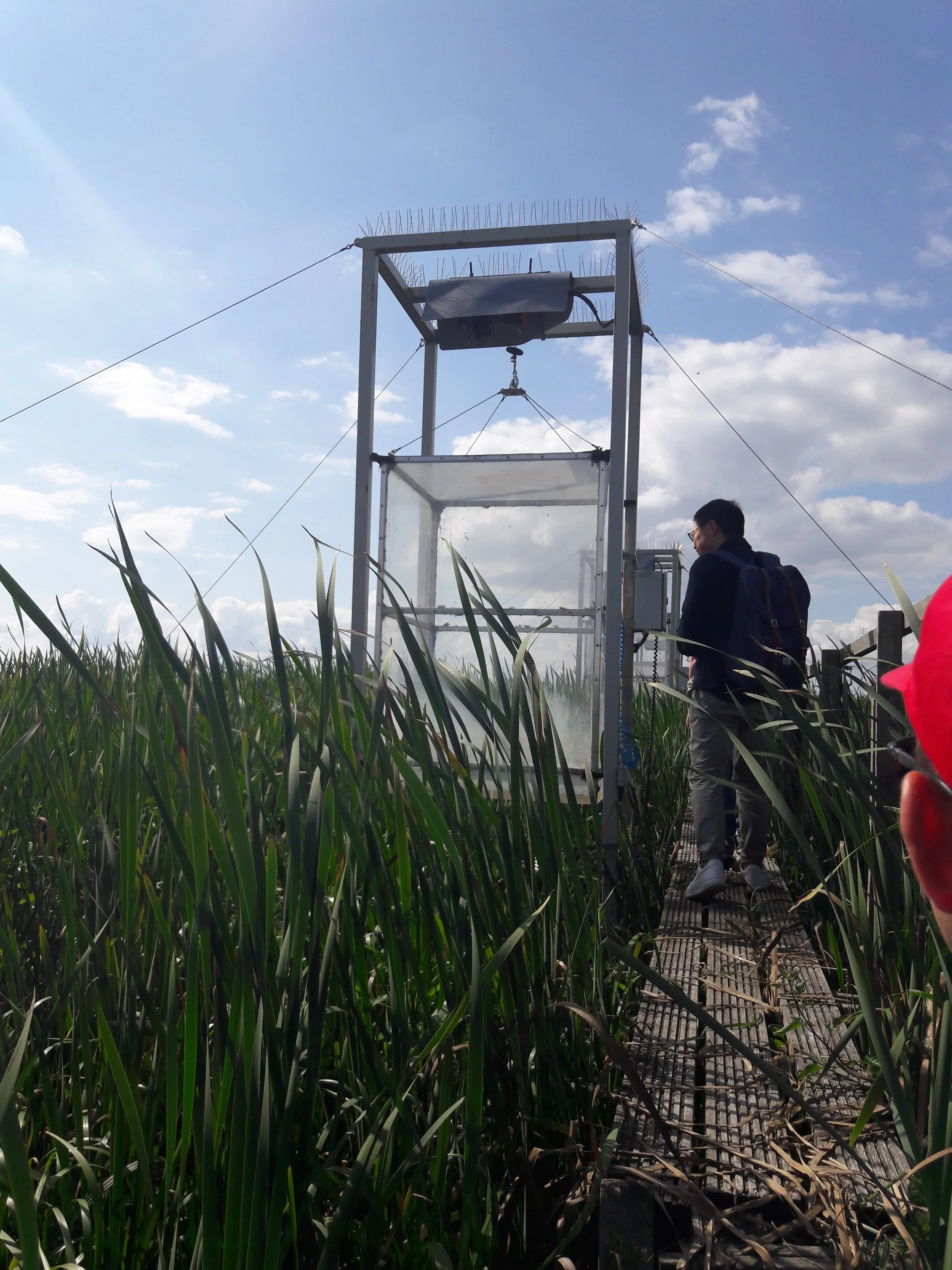 Automated chambers at the polder Zarnekow site. Photo: David Wilson