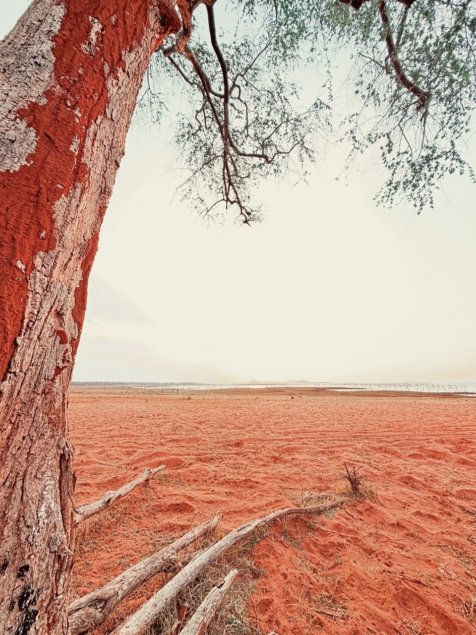 Kariba Red Large.jpeg