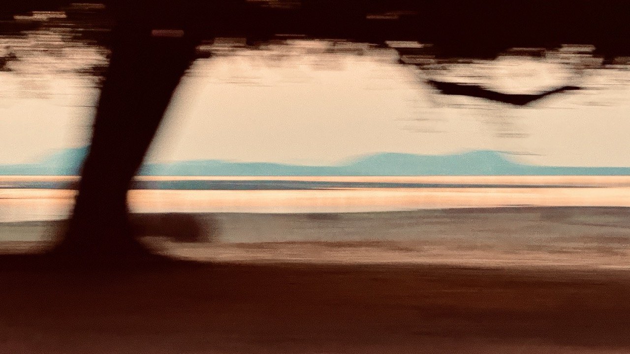 Liminal Mahogany Large.jpeg
