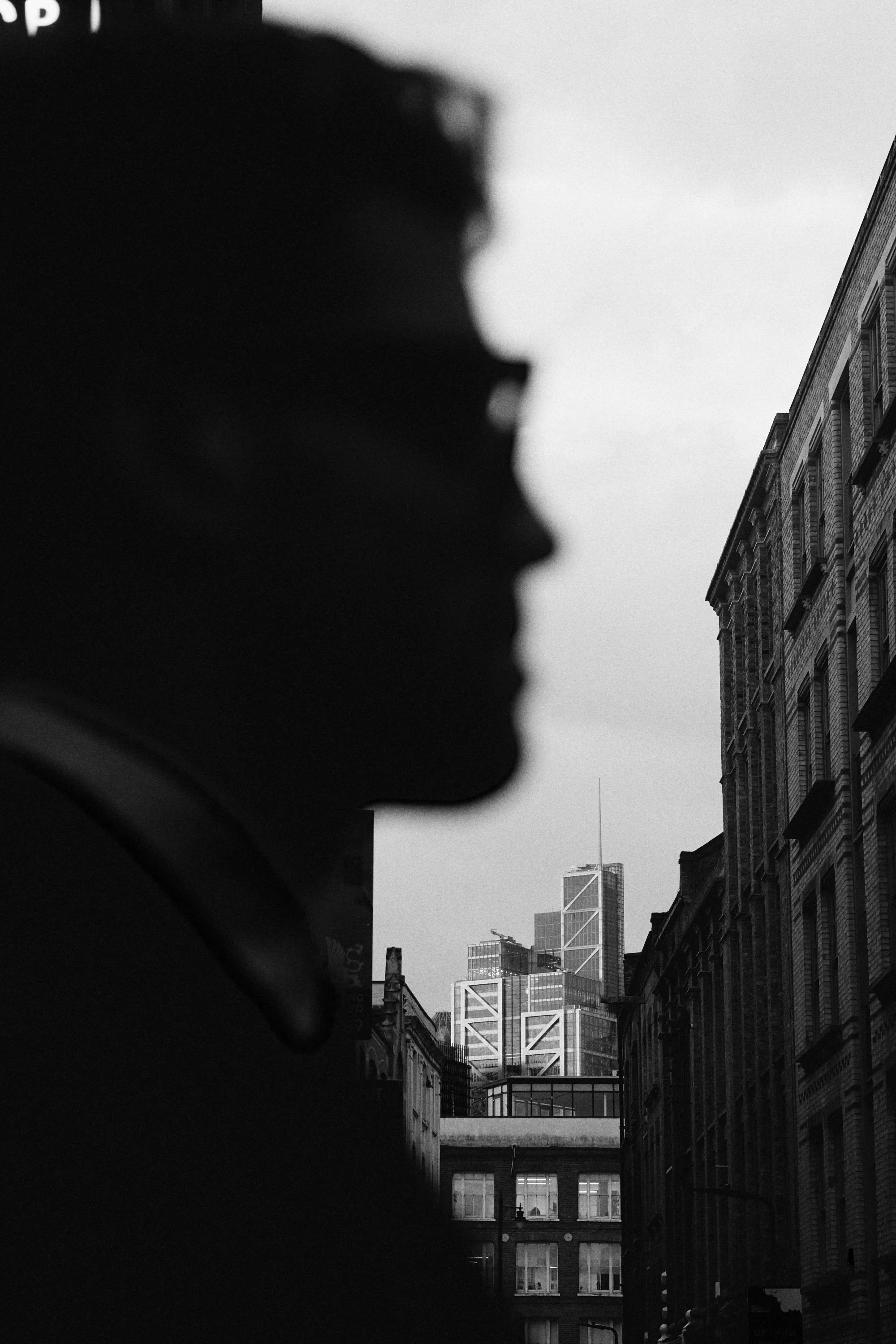 illgander_l1330833 2.JPG