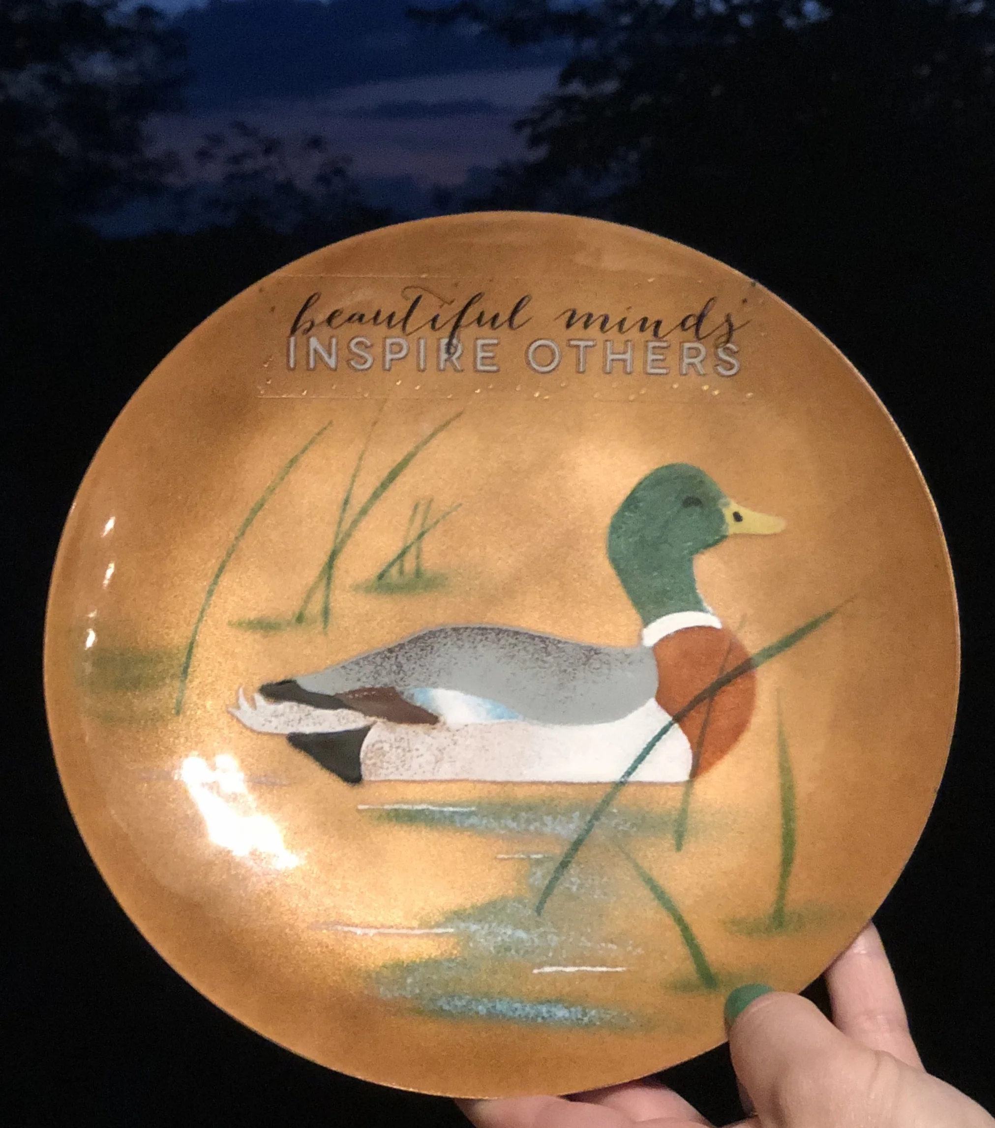 antiquated hand painted duck plate