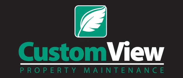 Customview-logo2-2.jpg