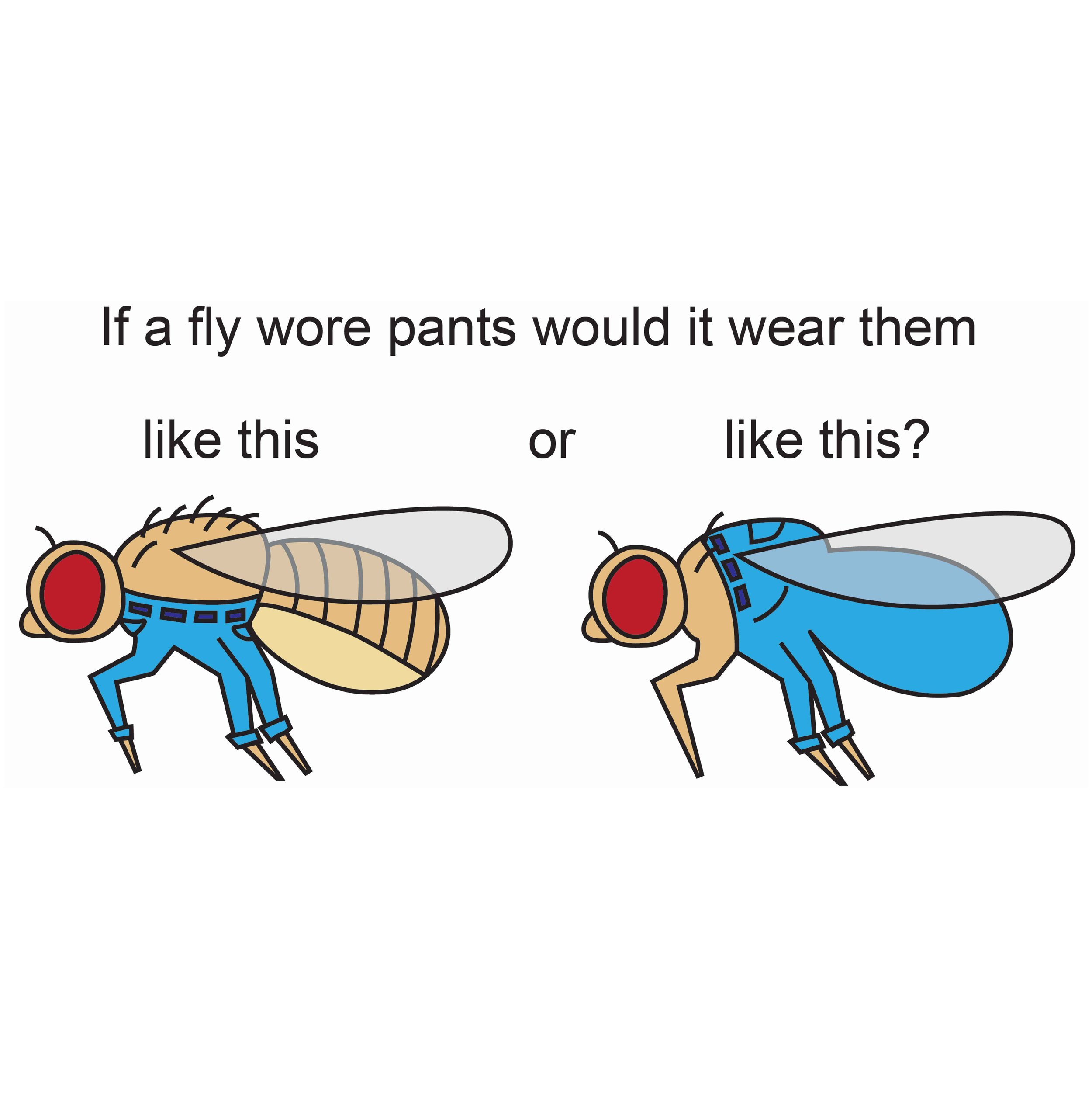 September 2019 – An important question. Thanks #drosophiladiez