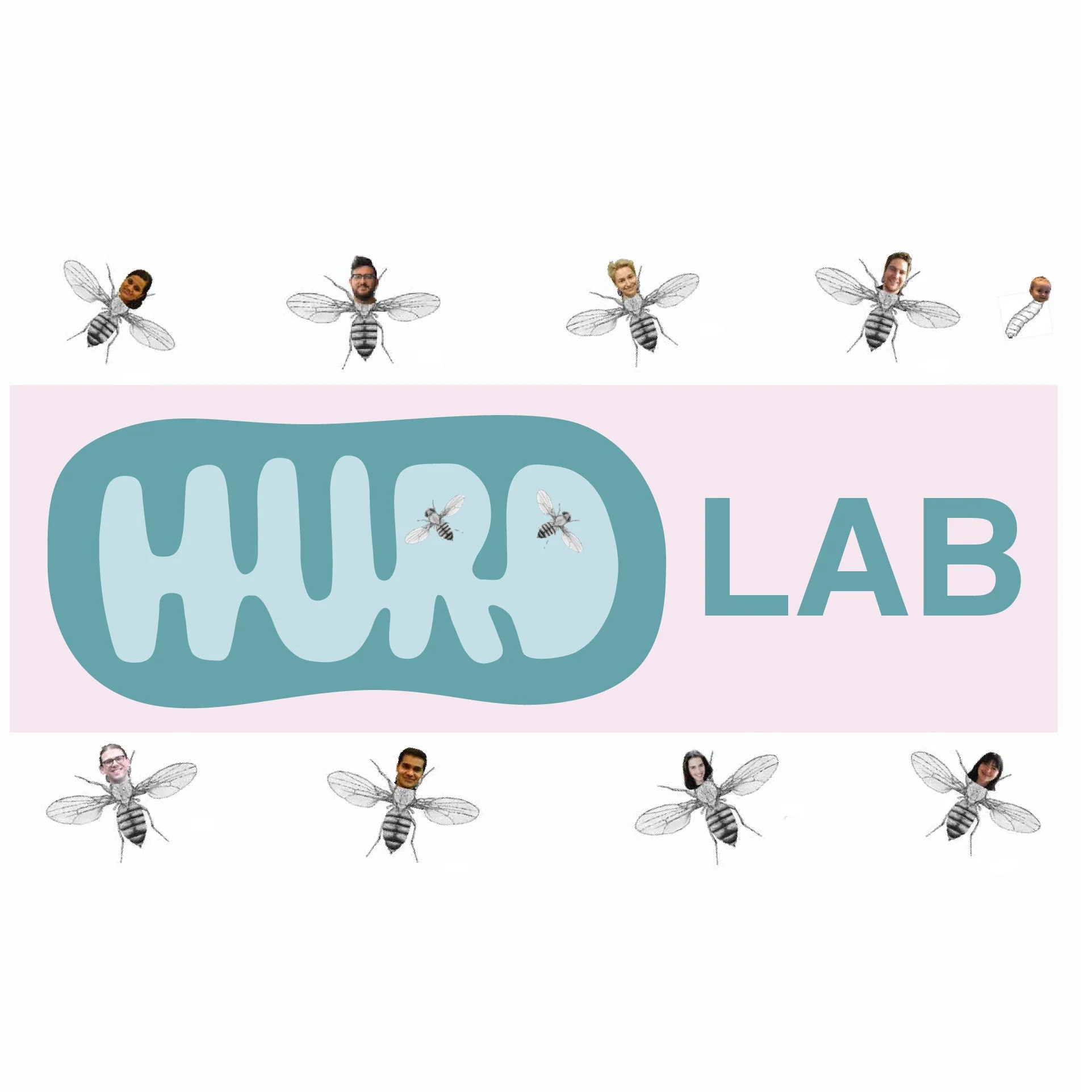 May 2019 – MoGen 50th Anniversary