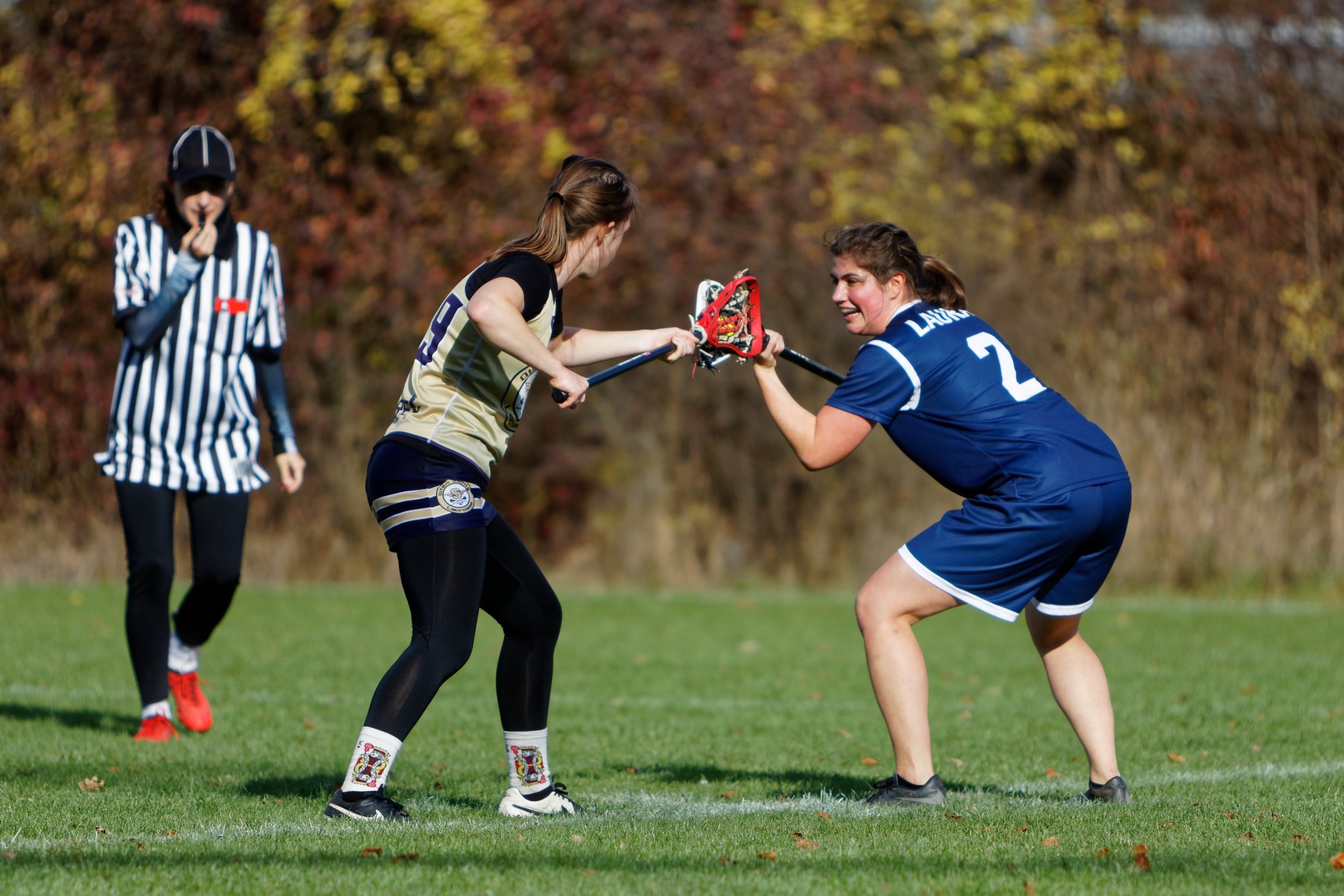 Olten Saints vs Zürich Lions