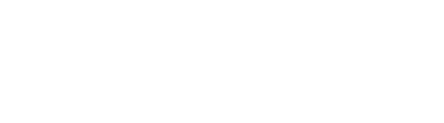 lester kamstra filmmaker