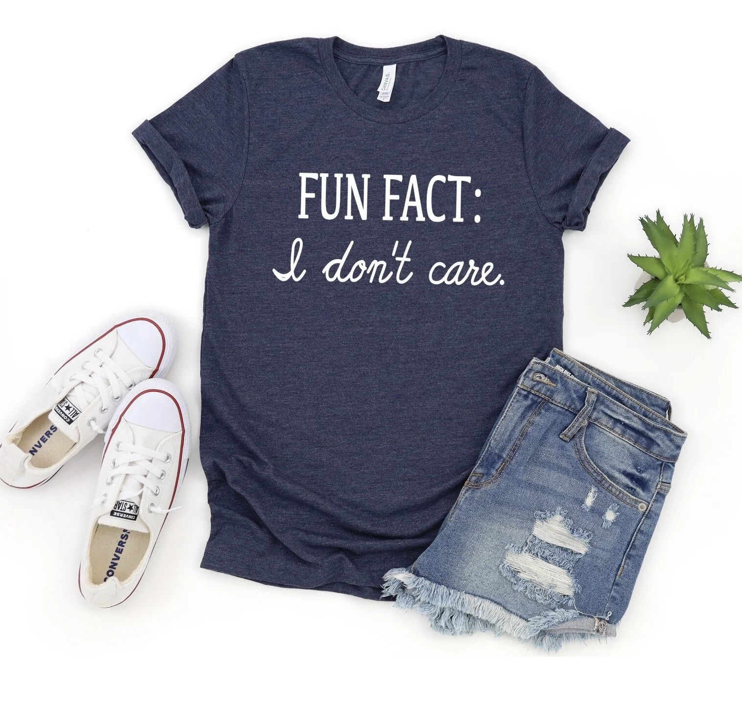 fun fact mock up .JPG