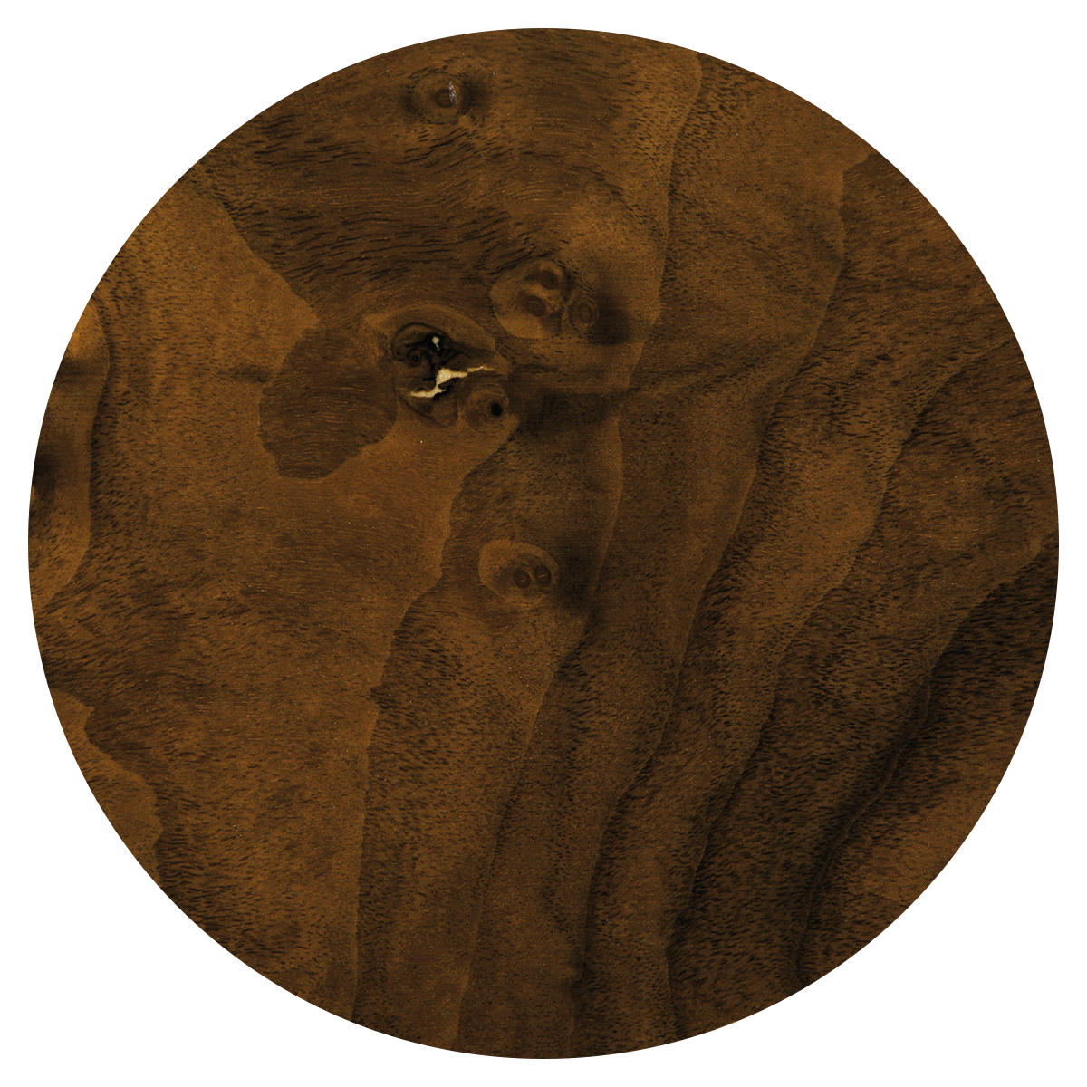 A close-up of a brown dog looking up, with its head slightly tilted, on a wooden surface.