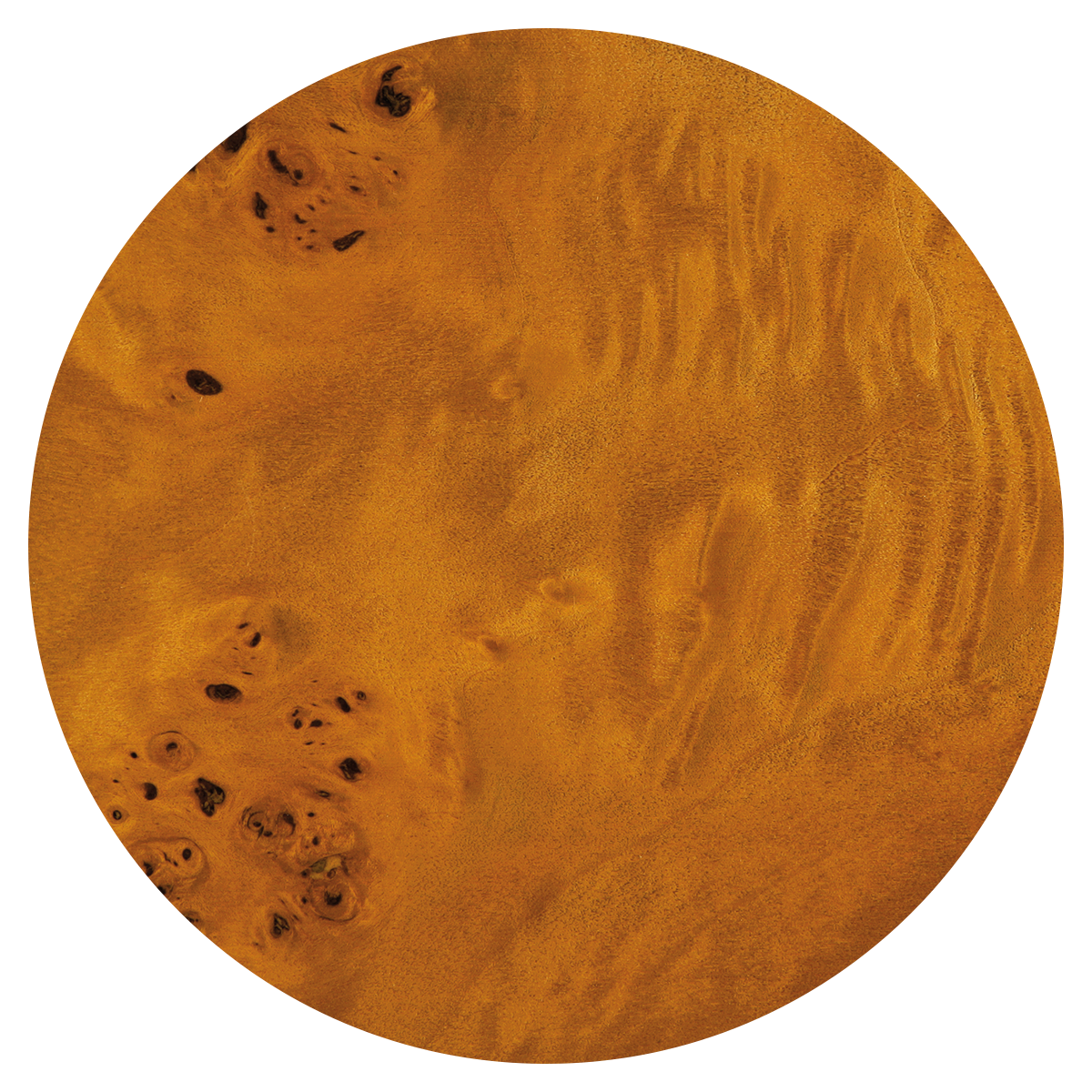 Close-up of a round wooden surface with visible grain patterns and knots.