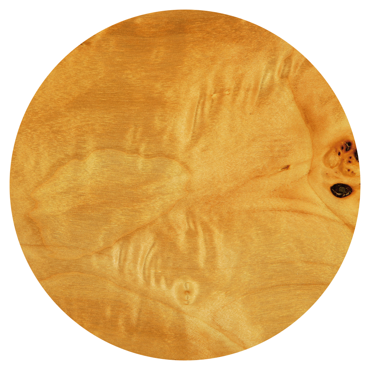 Close-up of a sleeping Shiba Inu dog curled up with its head resting on its paw, lying on a soft surface.