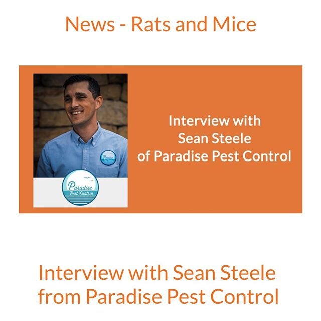 Want to know more about our mission and why we only offer 100% green services?

Head over to the link-in-profile👍🏼 ...and listen to our interview with @goodnatureus the U.S. distributer of our green rodent abatement tools.

#ecoresponsable #localbu