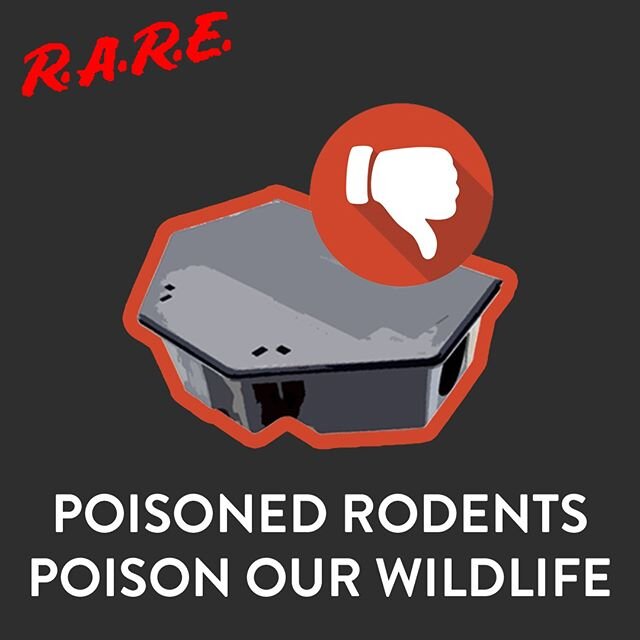 R.A.R.E. - Rodenticide Awareness &amp; Resistance Education &quot;Throughout California, the use of poison baits to control rodents has injured and killed hundreds or thousands of wild animals and pets. Predatory and scavenging birds and mammals like