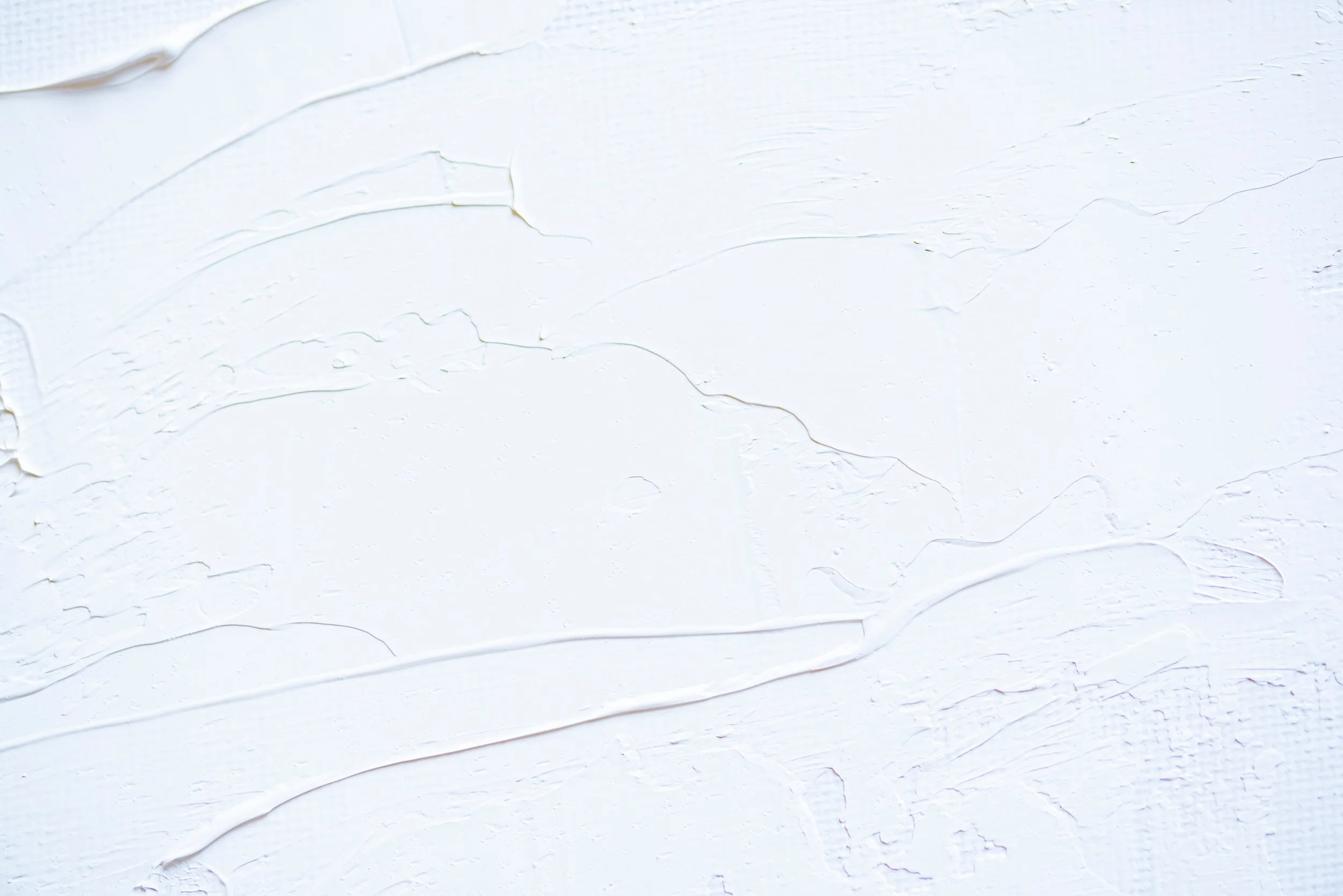 joanna-kosinska-433799-unsplash 2.jpg