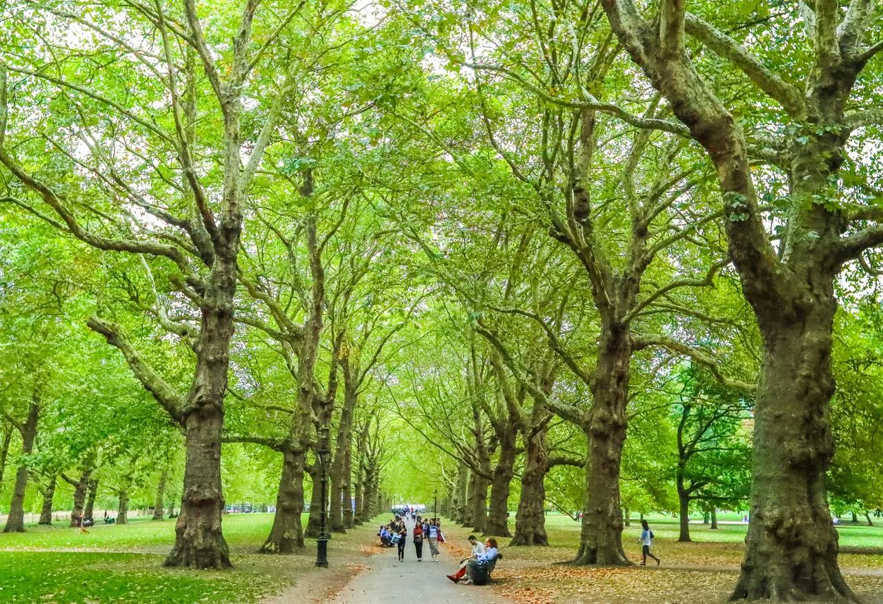Green Park, London