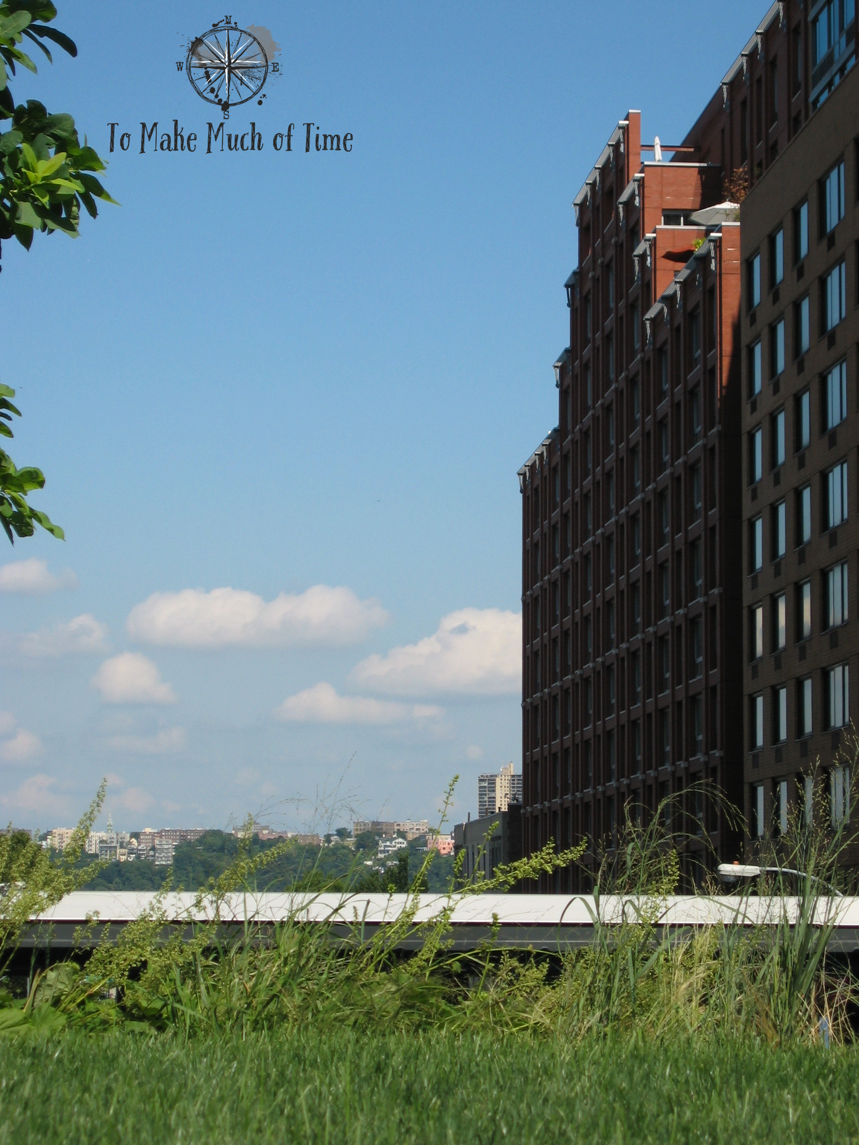 New York City | High Line | To Make Much of Time