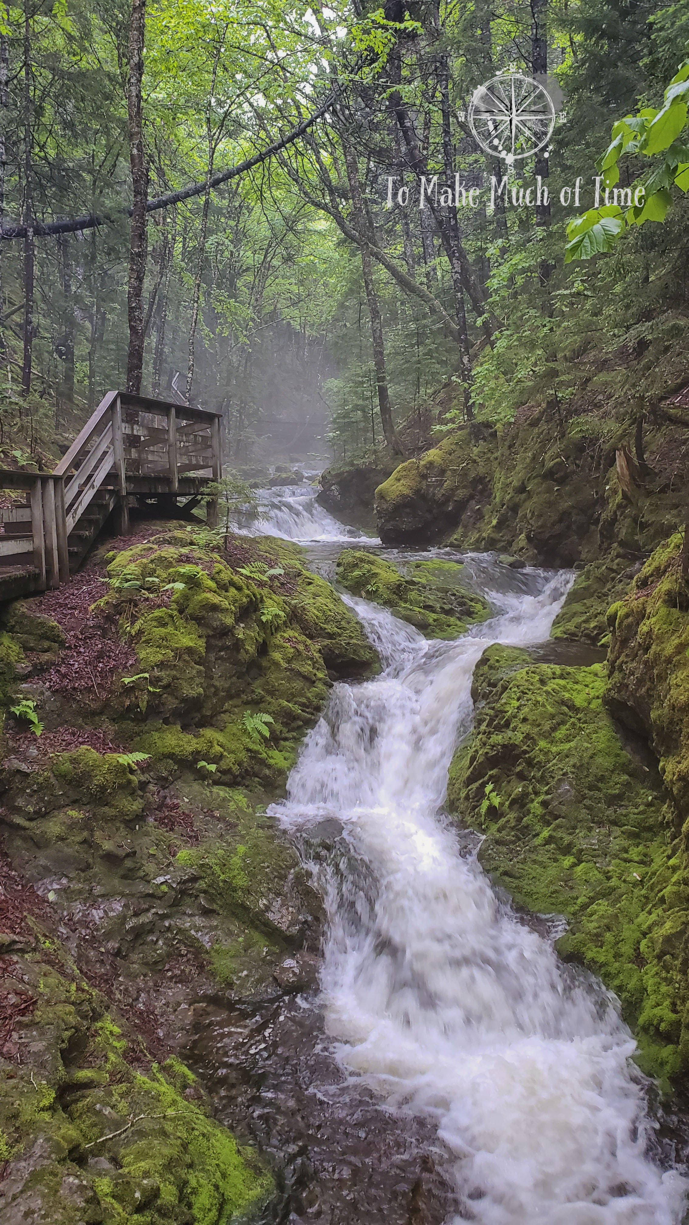 Latest travel itineraries for Fundy National Park Of Canada in