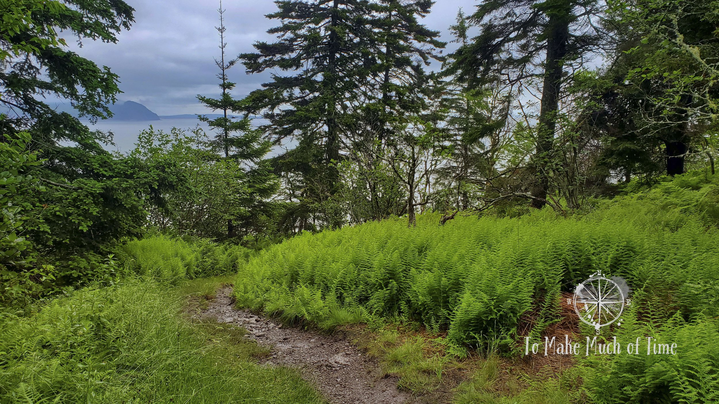 Latest travel itineraries for Fundy National Park Of Canada in