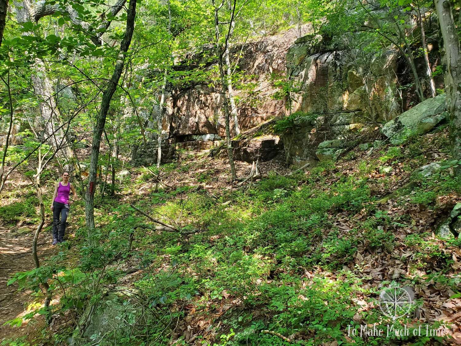 Hiking Read Mountain Preserve in Southwestern Virginia - 4.6 Mile Loop ...