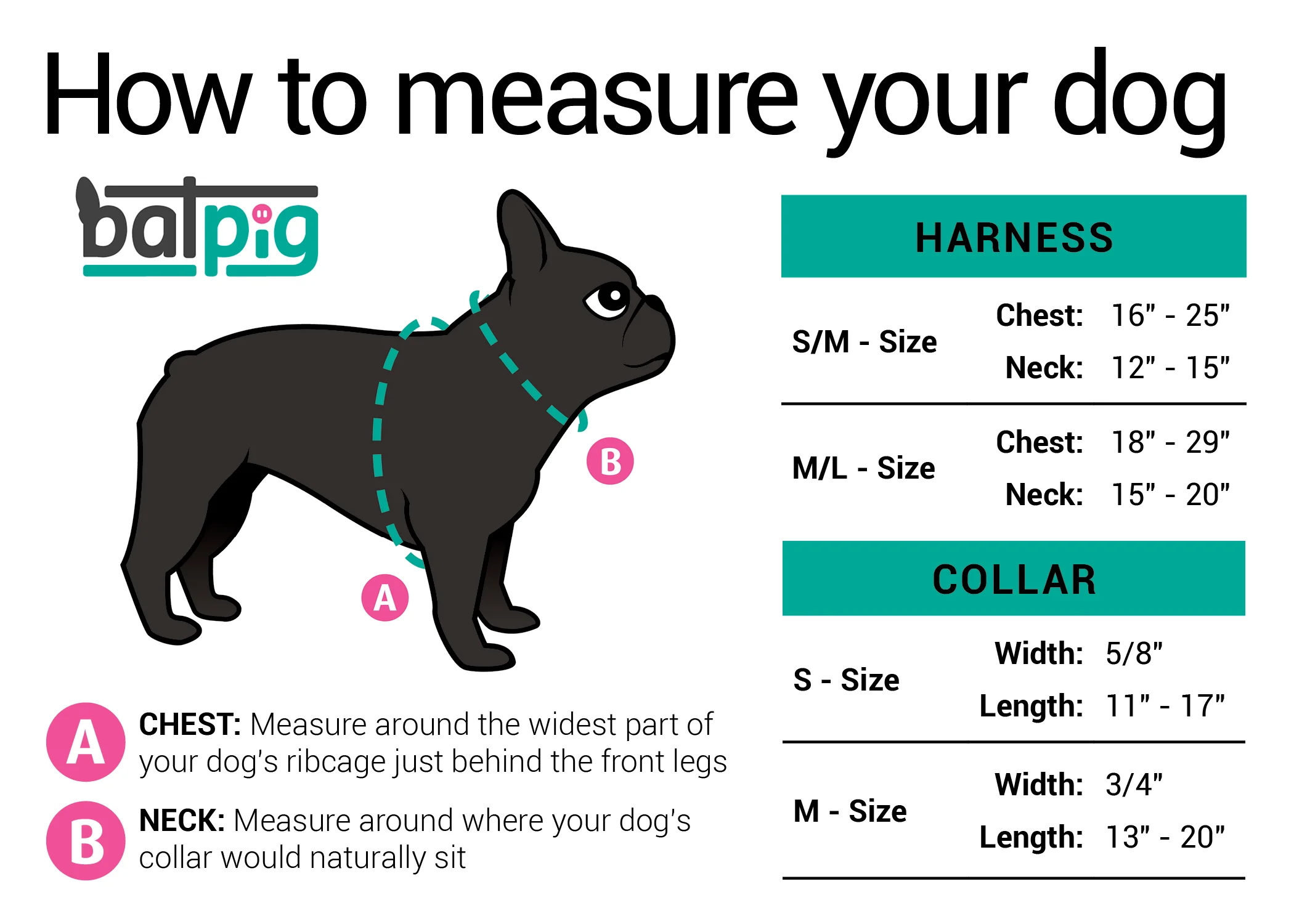 measurementchart (1).jpg