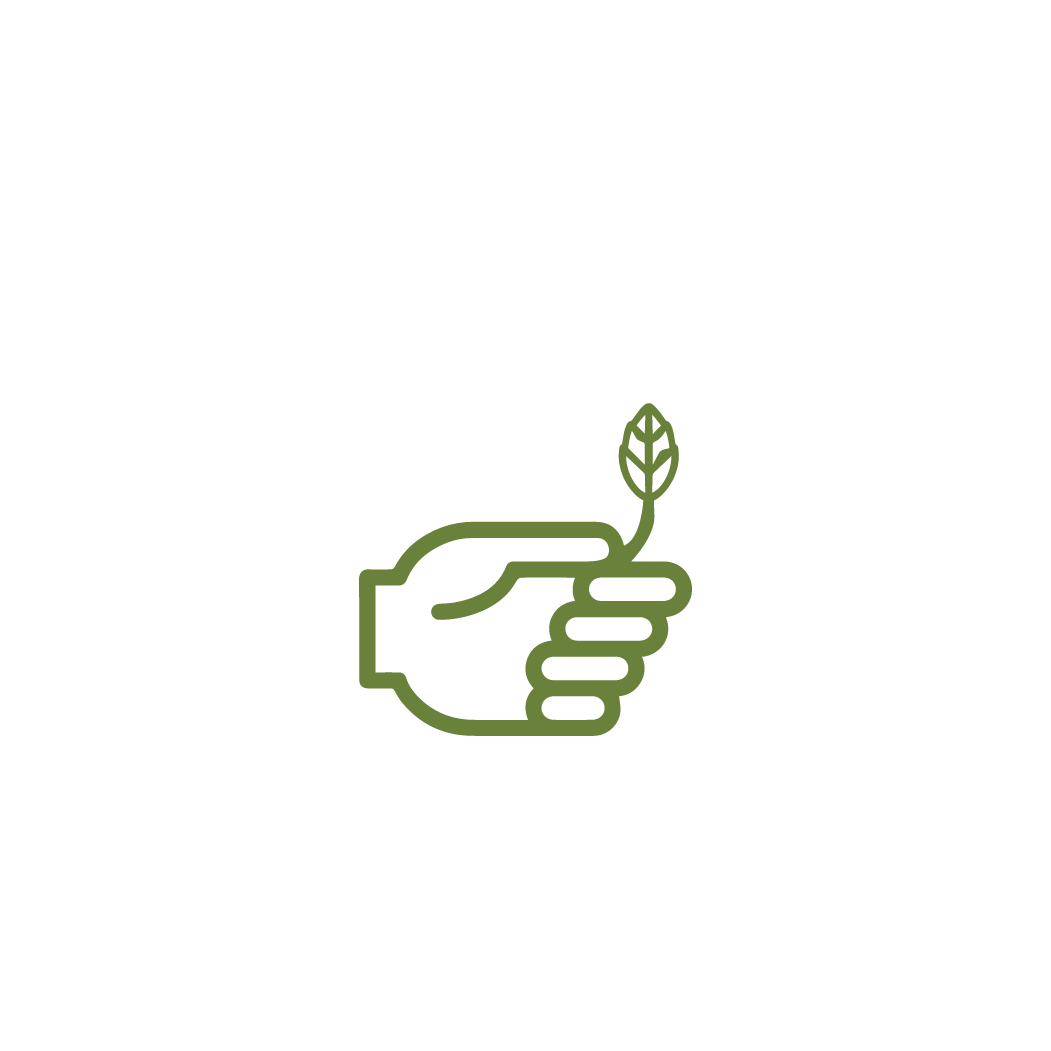 grow-leaf.gif