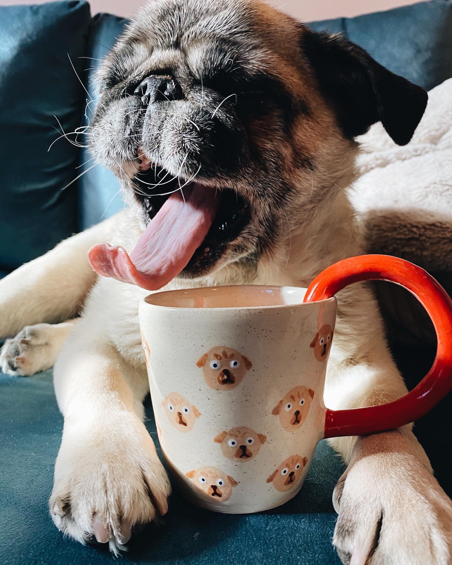 The best part of waking up, is coffee in your pug cup! ✨