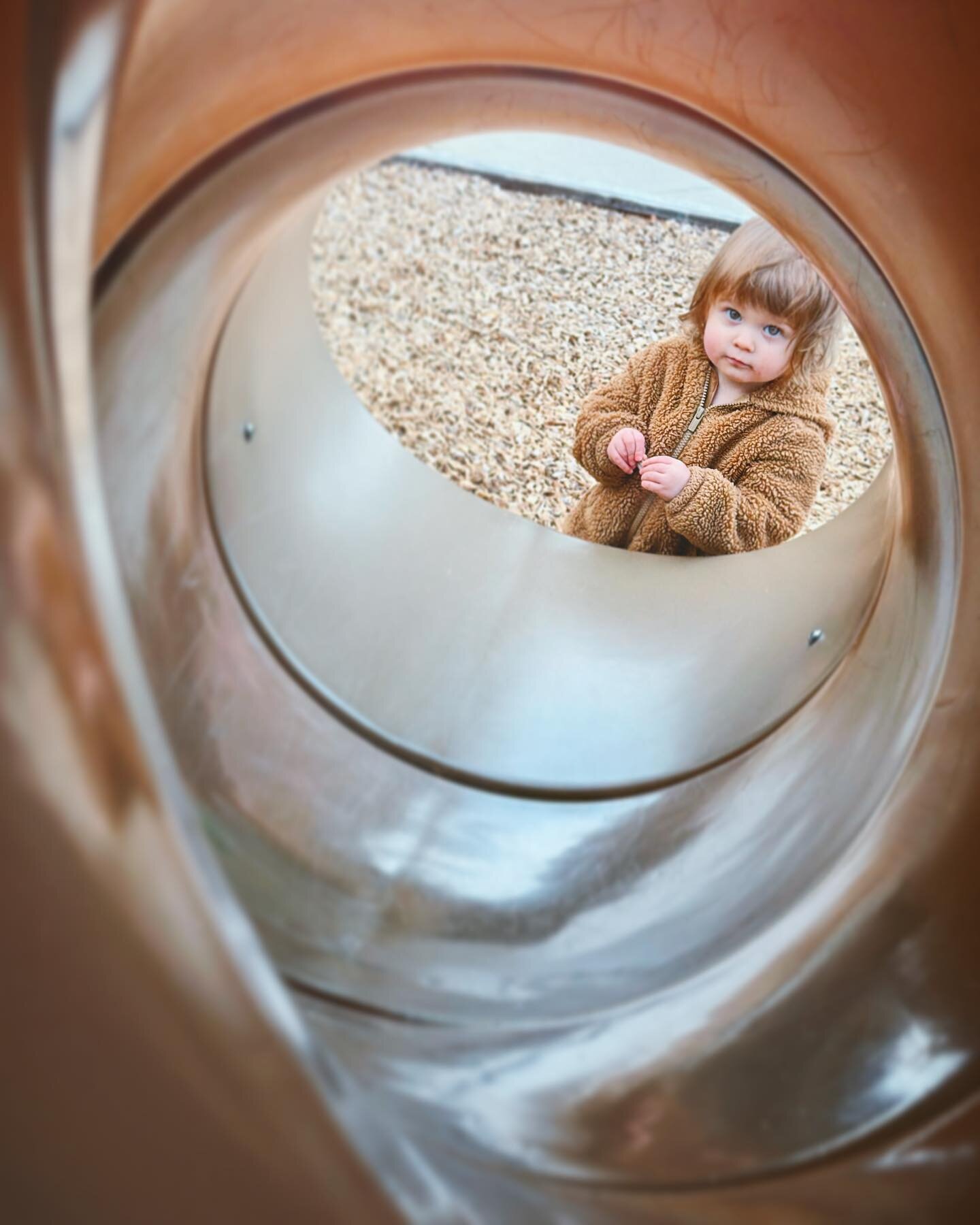 I like our walks in the neighborhood. Sometimes I like to run but not today. I enjoyed exploring the wood chips around the playground, rocks, and red, squishy, berries. And contemplating life as I get up there in months now (I am 19 months old, dontc