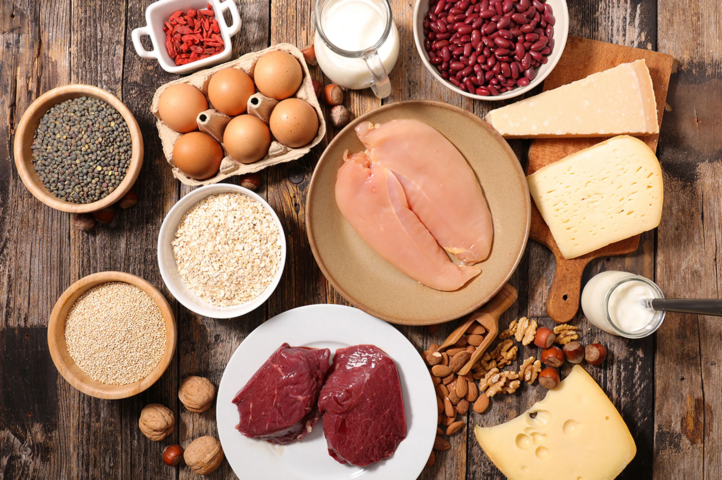 protein-the-basics.jpg