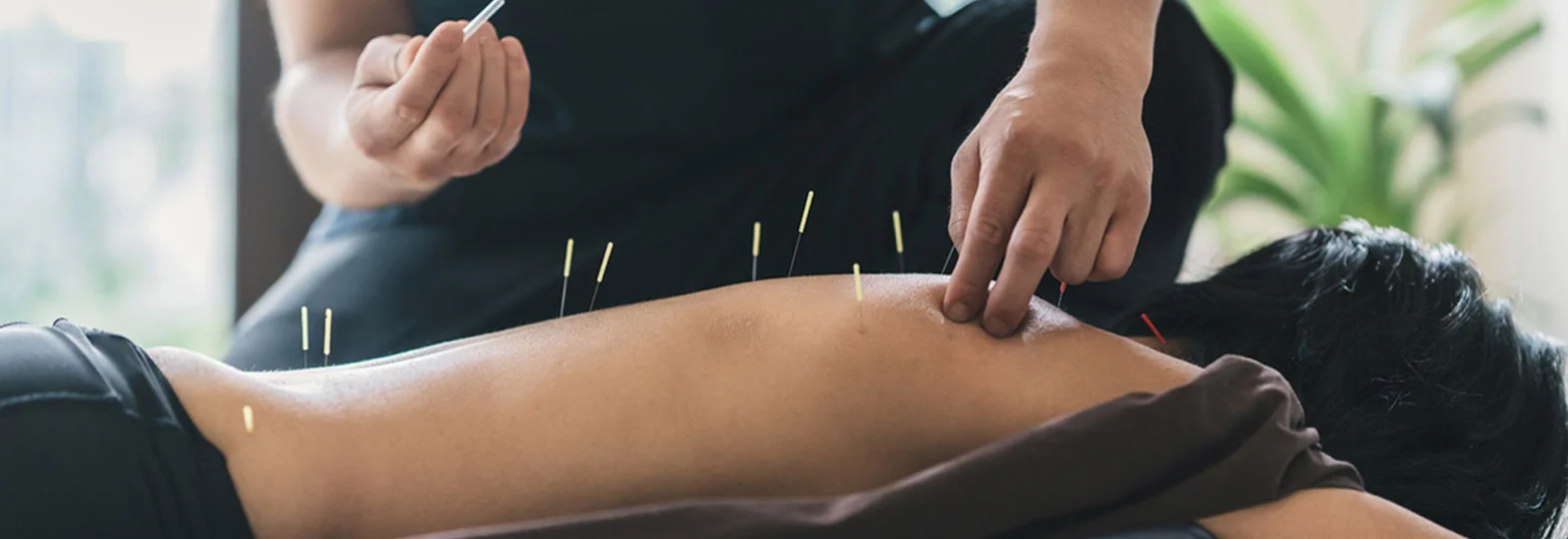 Nirvana Acupuncture And Massage And Herbs