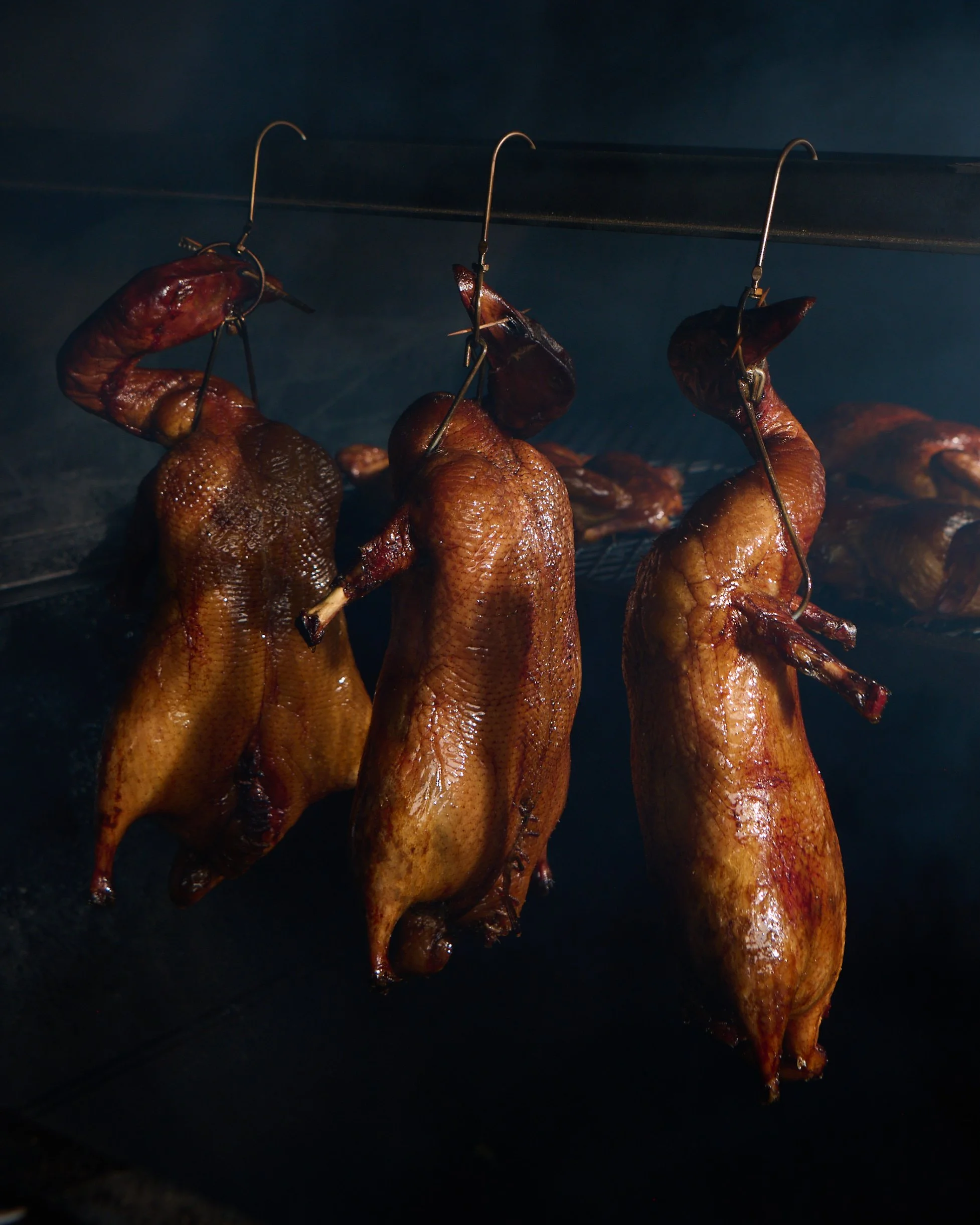 Lifestyle-LOWRES 97.jpg