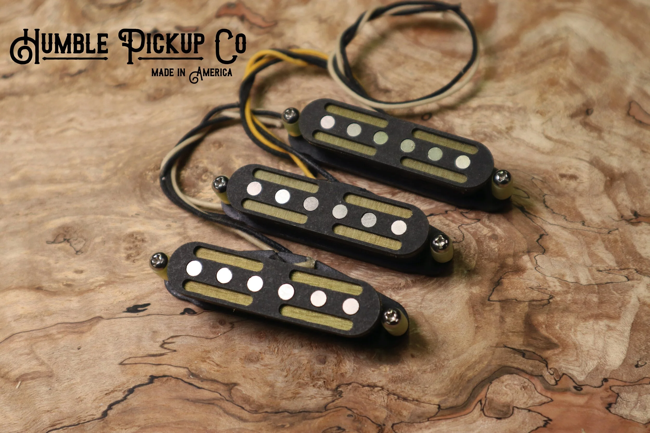 Black-eyed Susan Single Coil