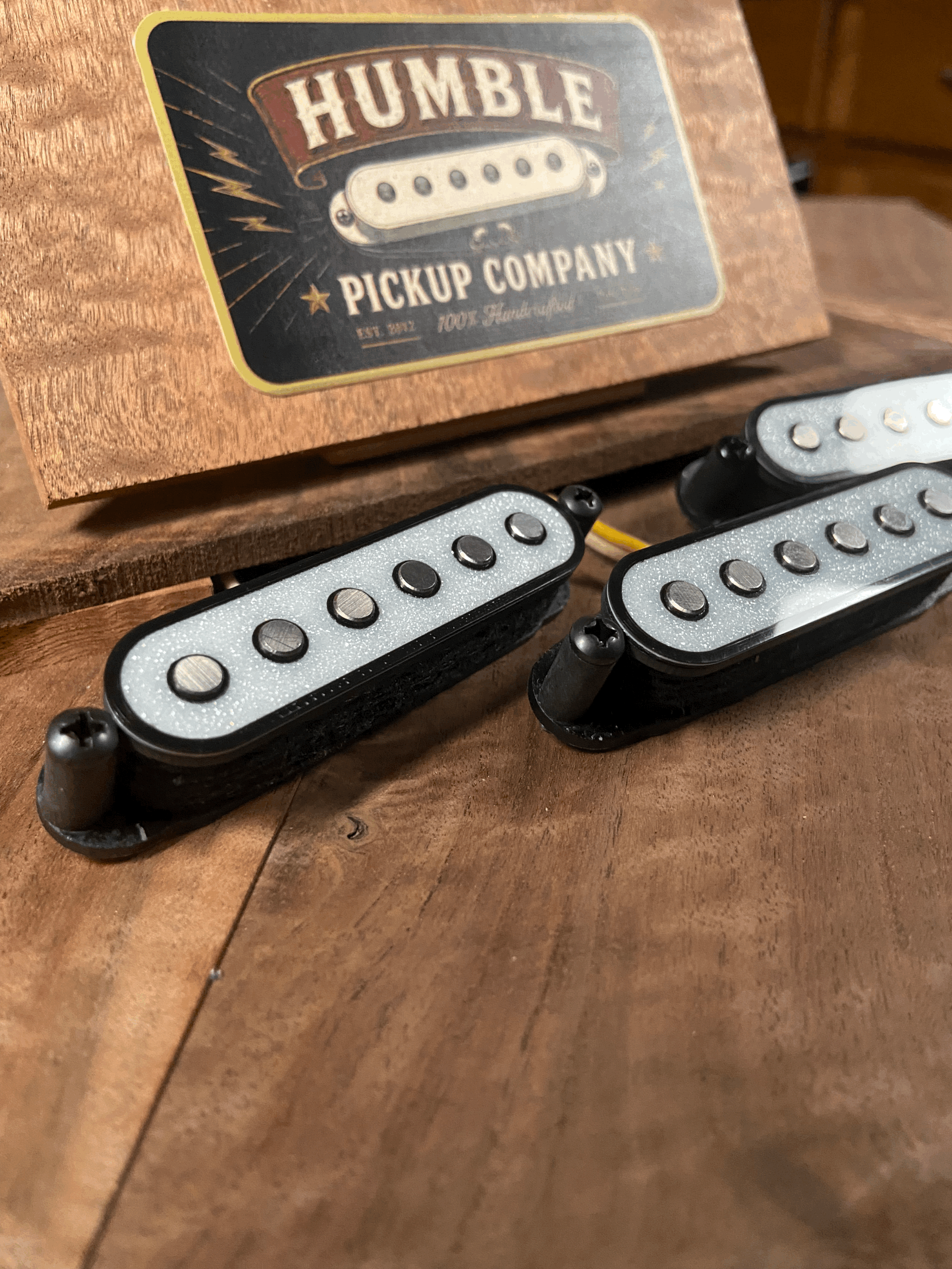 Black-eyed Susan Single Coil