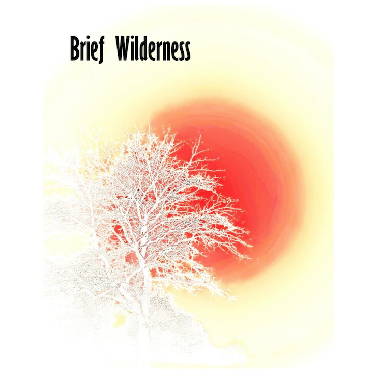 Eight Poems Published in Brief Wilderness