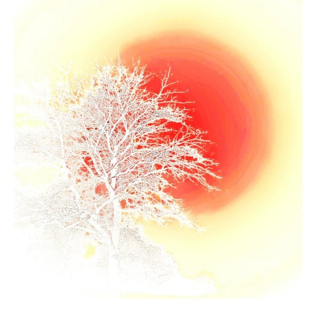 Brief-Wilderness-Sq-Graphic.png