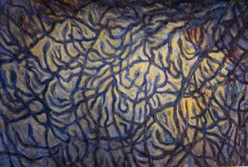amberAltFinalMedP-360x243.jpg