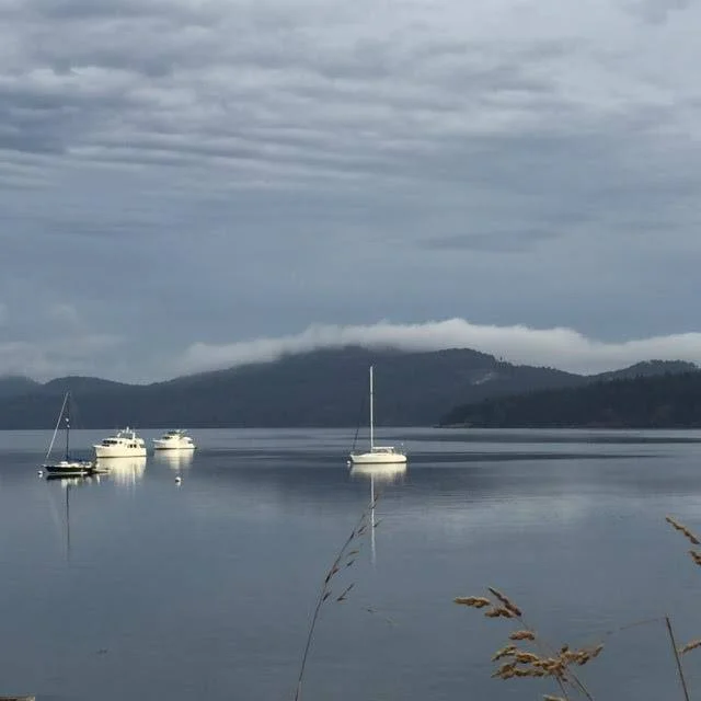 photo courtesy of Novel Lab on Orcas Island