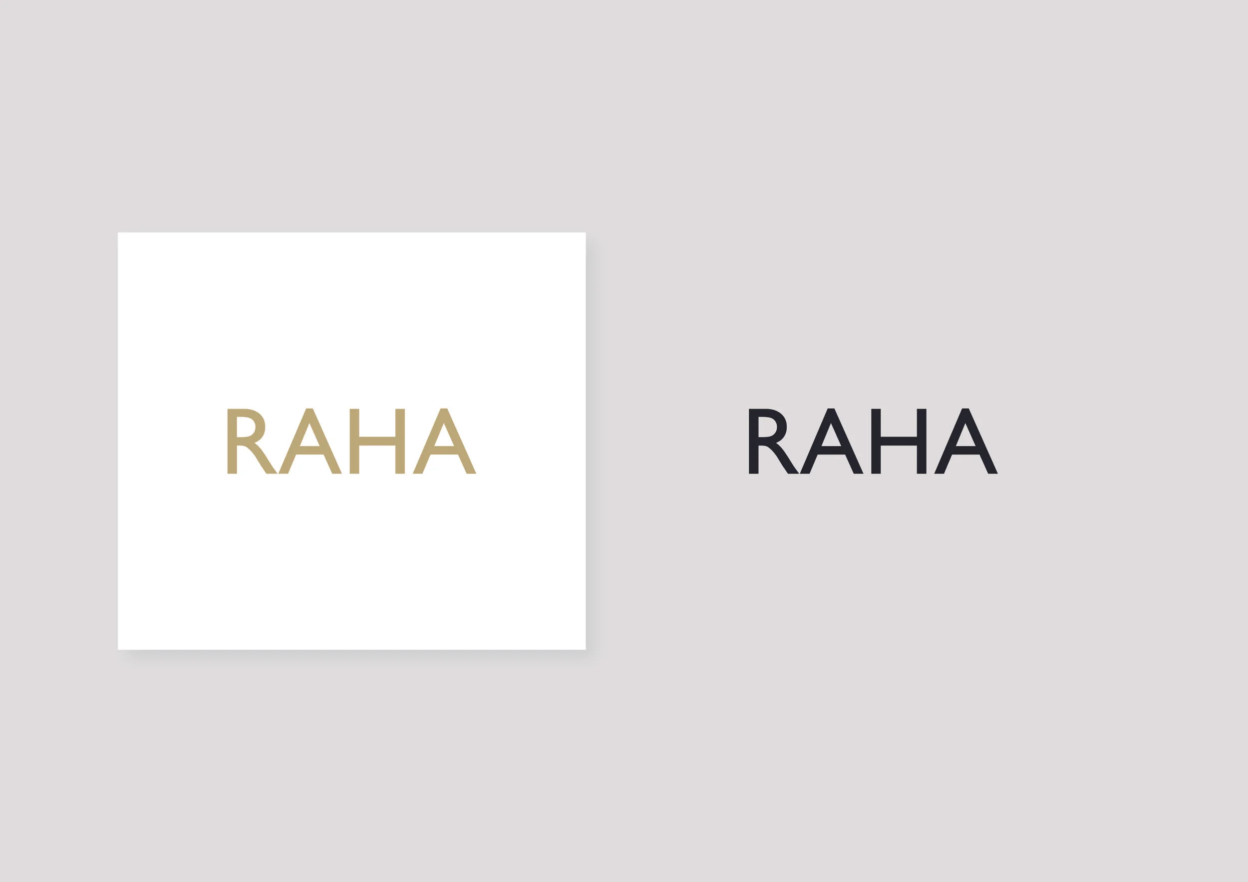 raha_Concept 2 copy.jpg