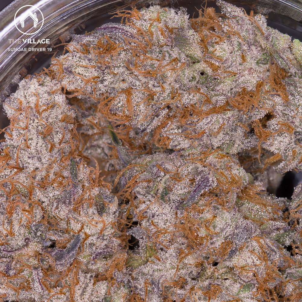 sundae driver strain review