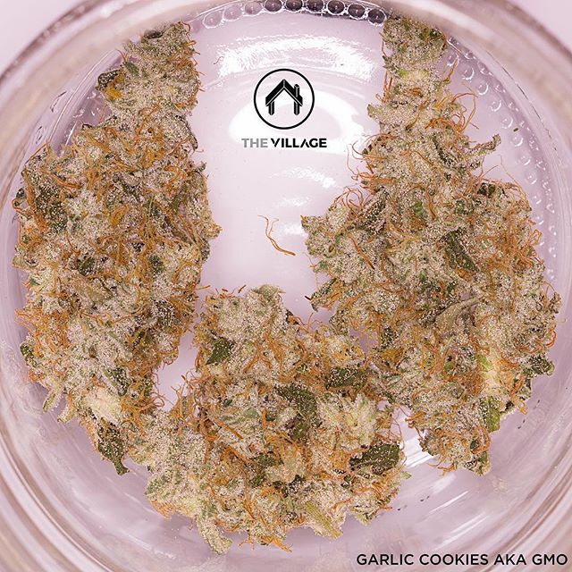 Garlic Cookies grown by @_thevillage is currently available! 🔥🔥🔥