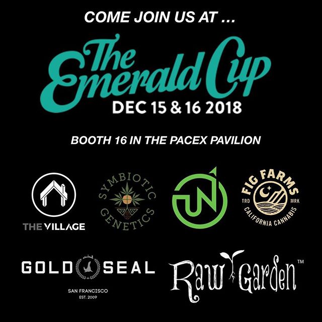 We will be at the @theemeraldcup this year at booth 16 in the Pacex Pavilion with @symbioticgenetics @upnorthhumboldt @goldsealsf @fig.farms @rawgarden Stop by and say what&rsquo;s up! @symbioticgenetics will be releasing two new crosses - Modified G