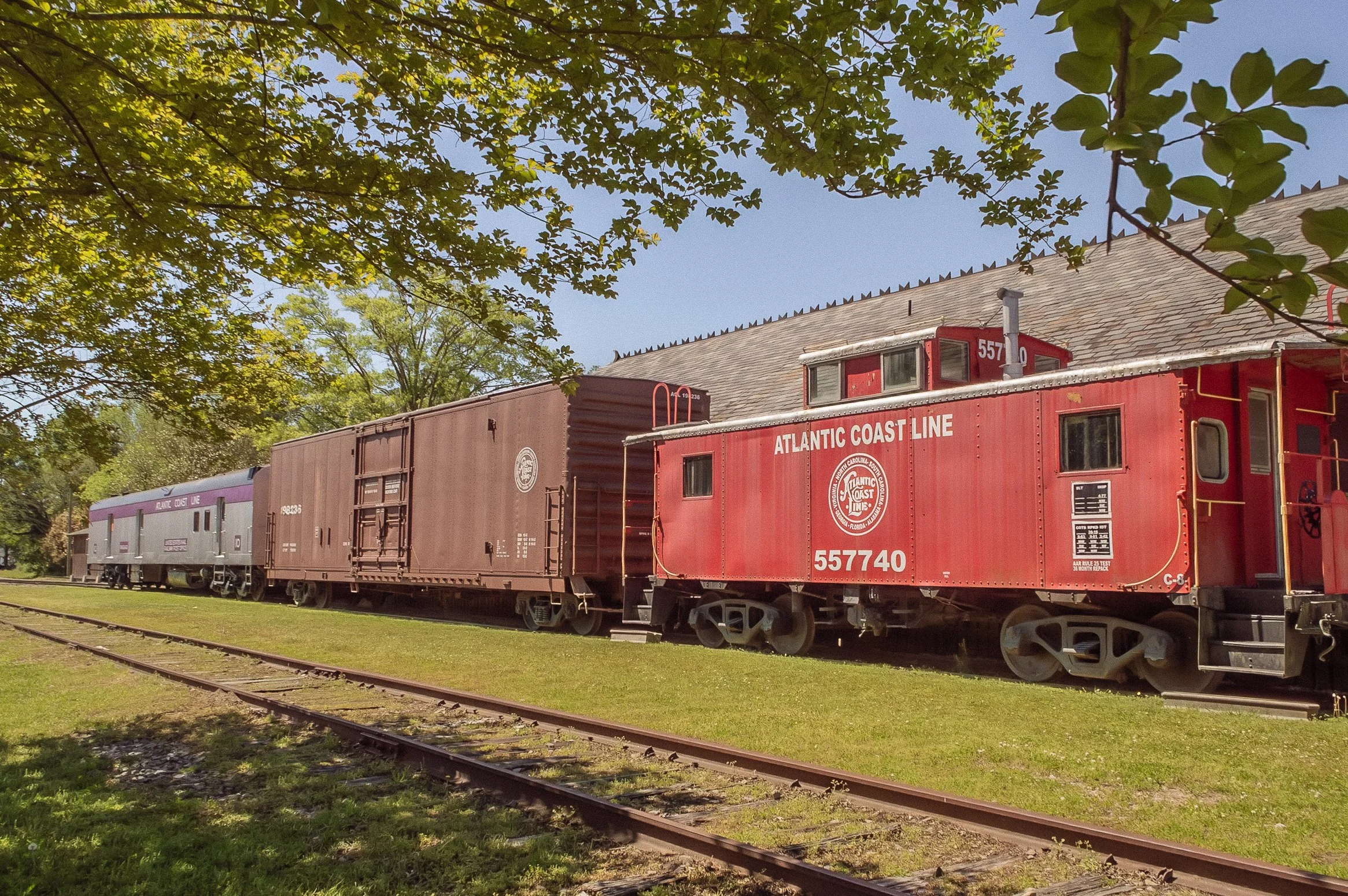 DSC_0236-3.jpg