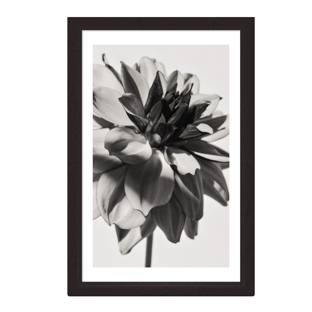 Beige 3d Interior Picture Frame Mockup Instagram Post1-2.png