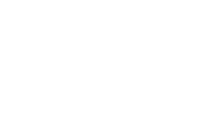 Salomon Outdoor Logo
