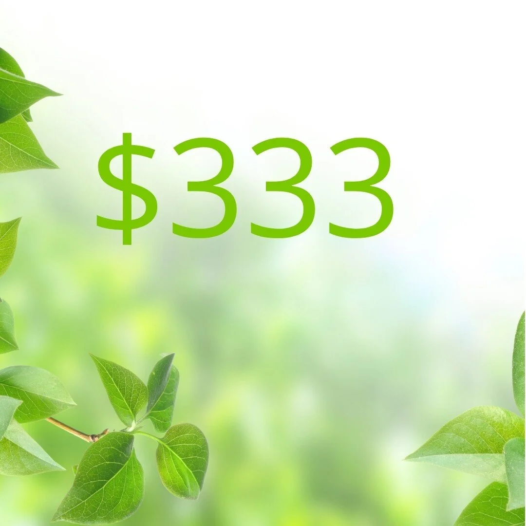 $333 Donation .jpg