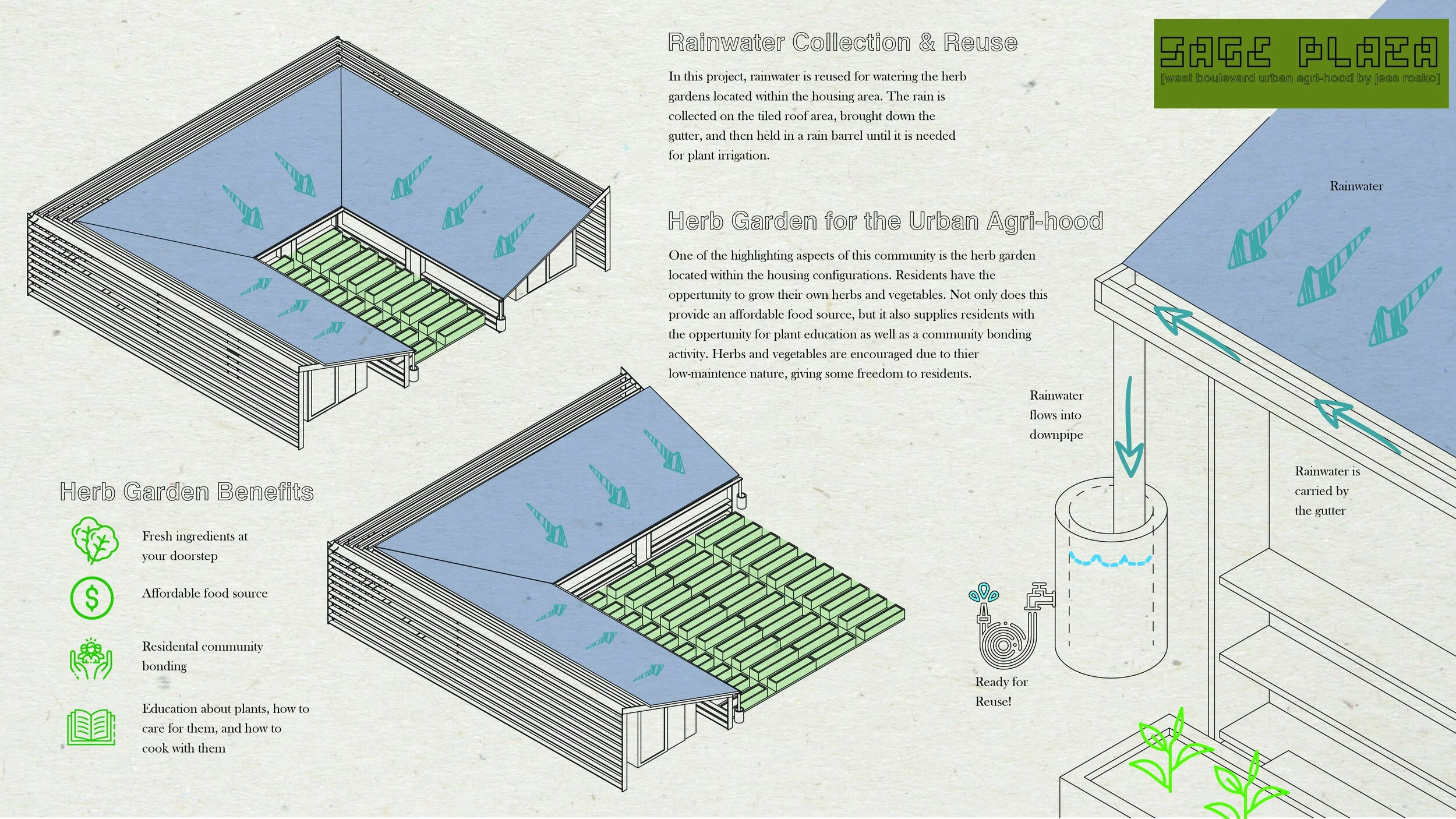 Rosko FINAL board set 2-01.jpg