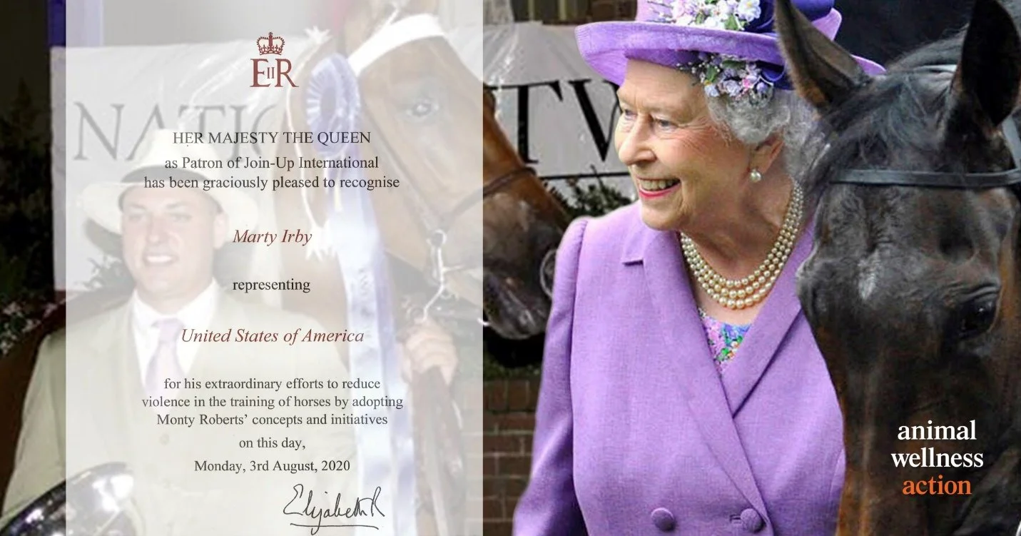 Her Majesty Queen Elizabeth II Honors Marty Irby with an Award for His Work to Protect Horses in 2020