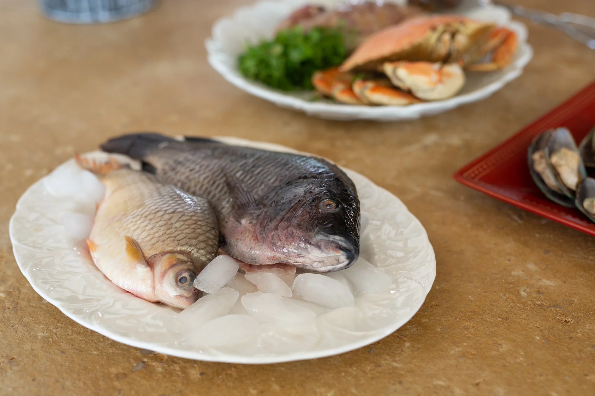 2018-07-02 Jeanne - WebRes - _R7A6797.jpg