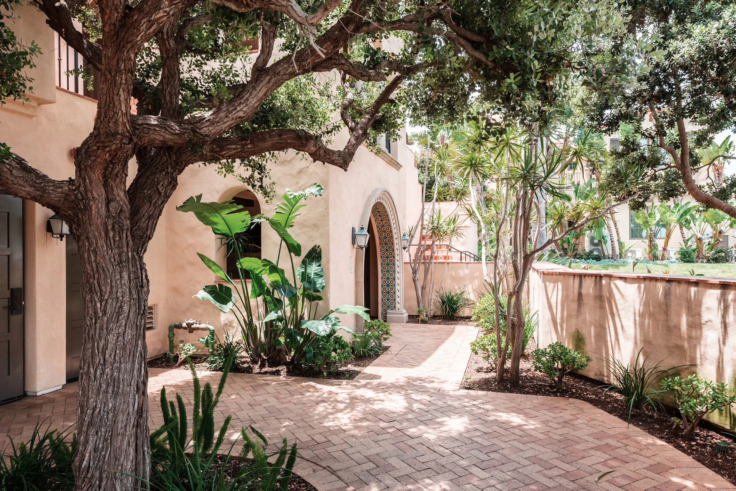TERRENEA CASITA 21443.jpg