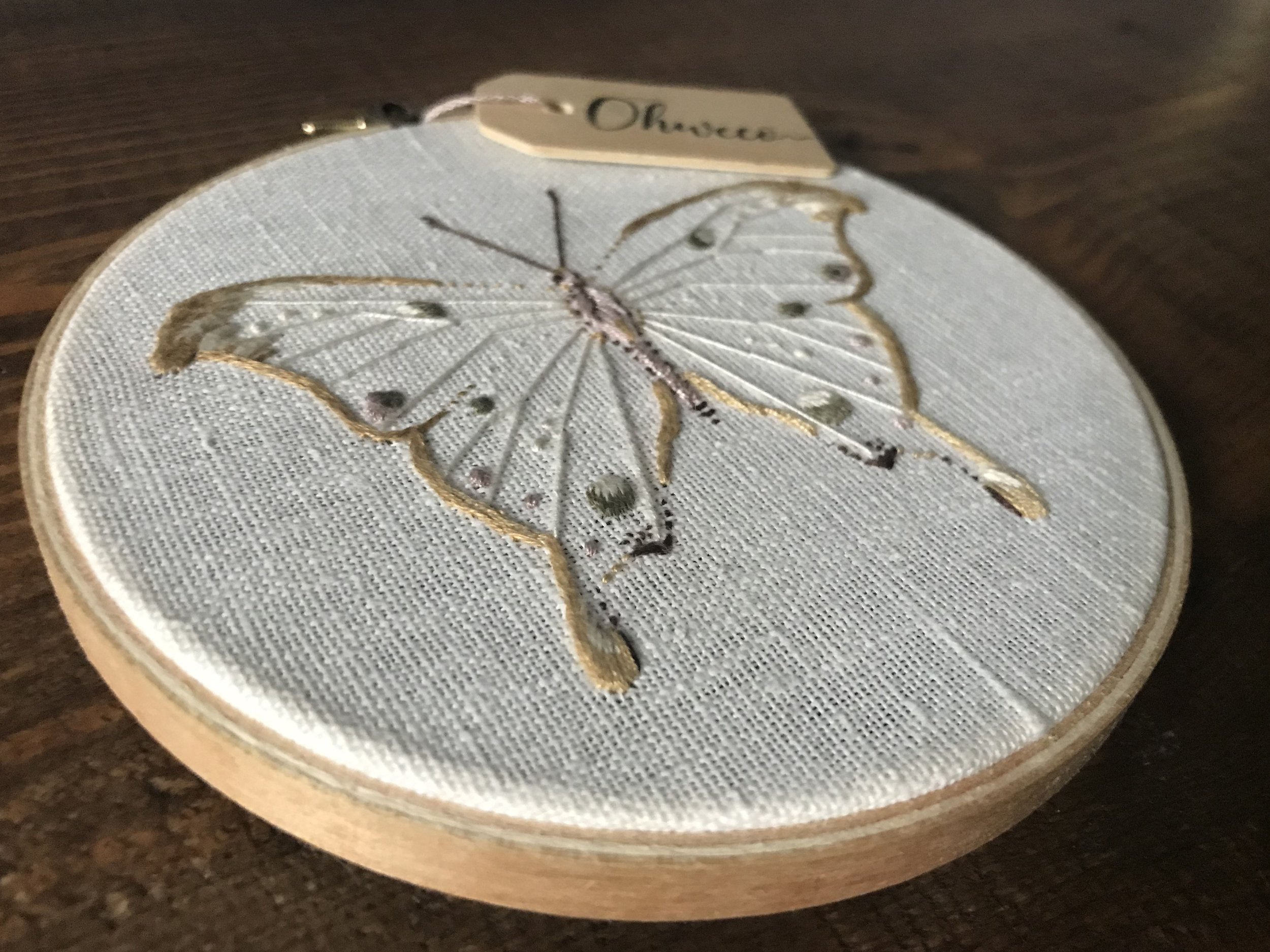 Butterfly_5.jpg