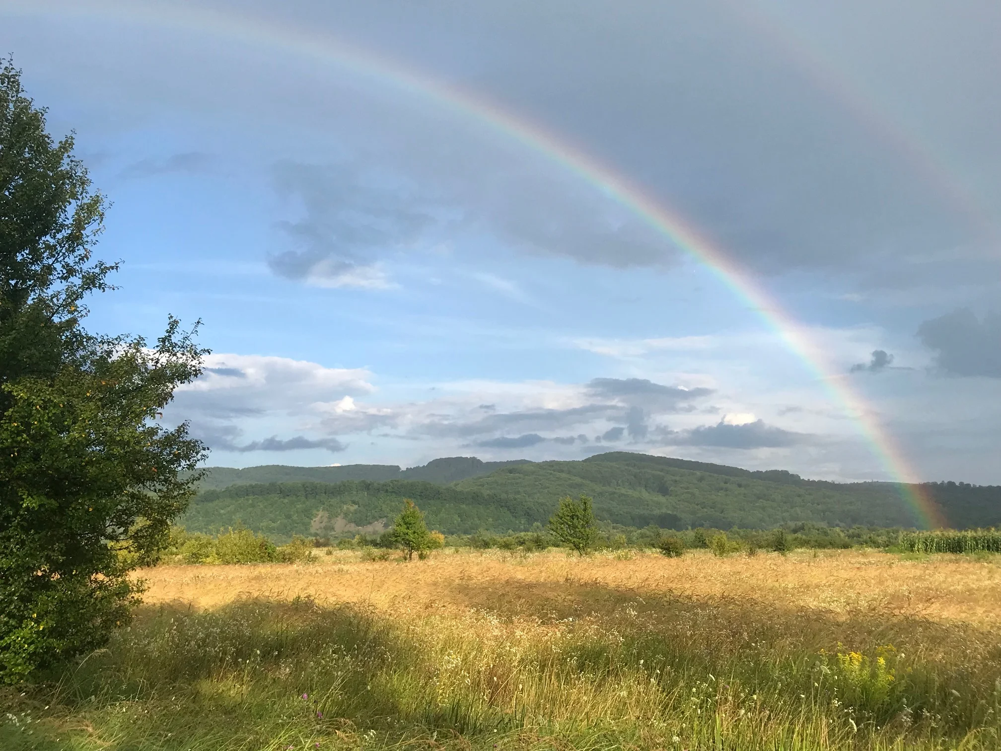 Beautiful rainbow in Ukraine