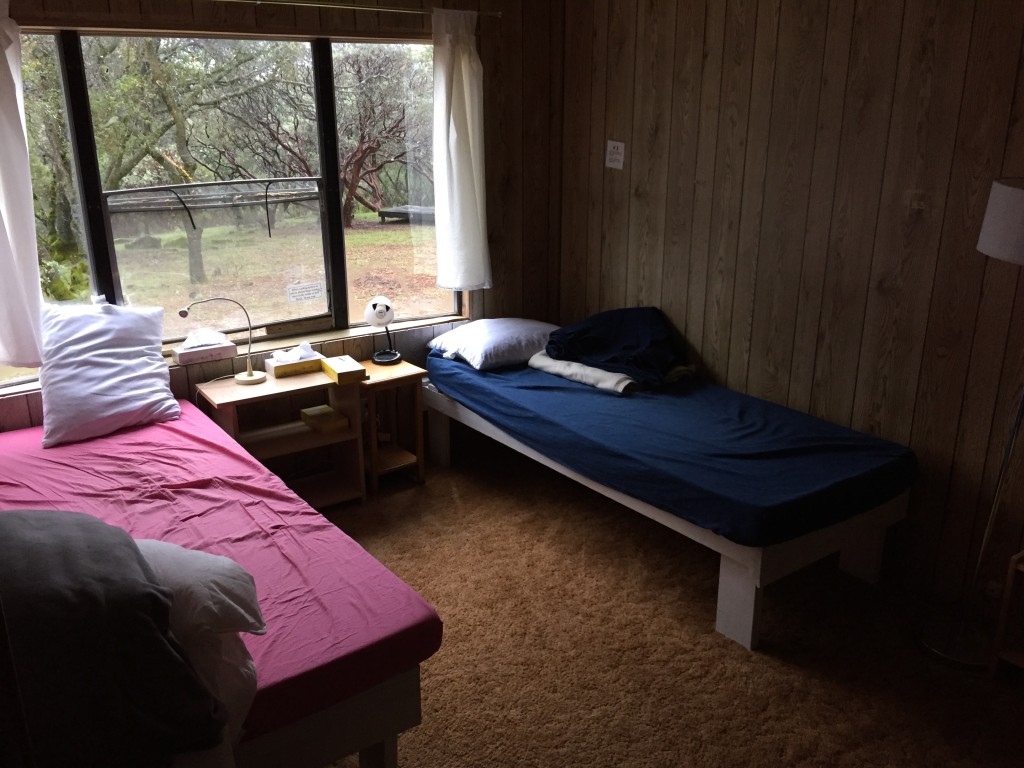 Simple accommodation. Two beds and one window.